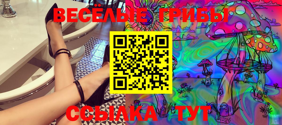 Галлюциногенные грибы Psilocybe Сатка